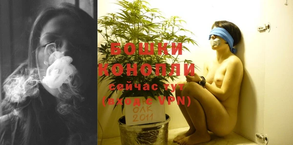 PSILOCYBIN Заречный