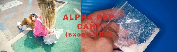 PSILOCYBIN Заречный