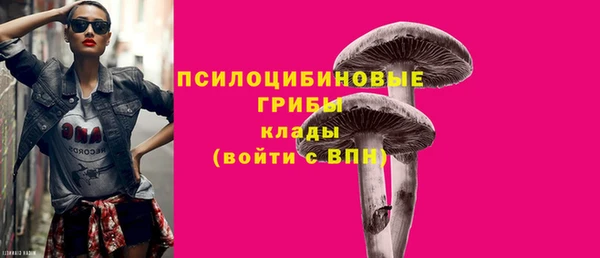 PSILOCYBIN Заречный