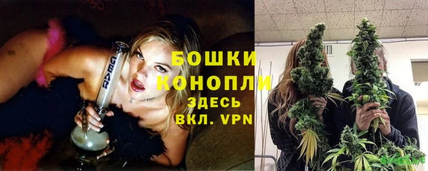 PSILOCYBIN Заречный