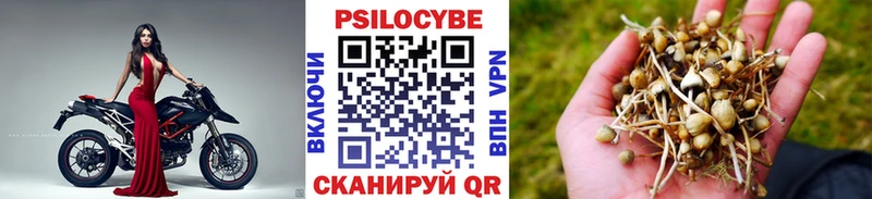 Псилоцибиновые грибы мухоморы  Пыть-Ях 