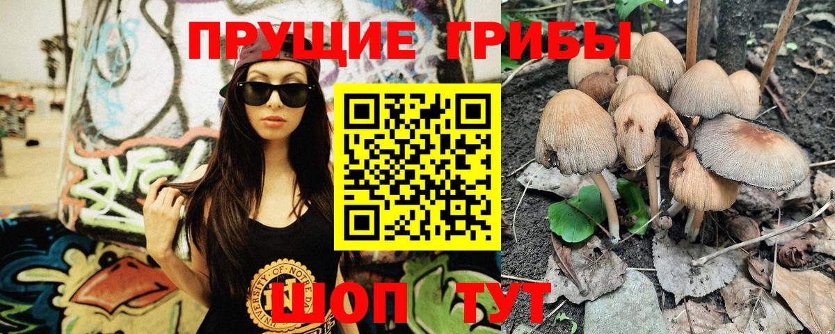 Псилоцибиновые грибы Psilocybe Пыть-Ях